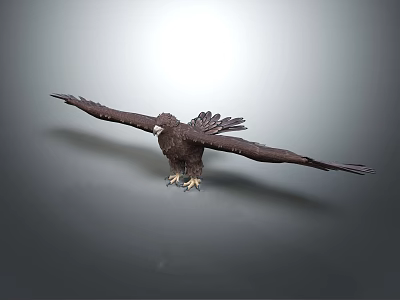 Modern Eagle 3d model