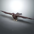 Majestic Eagle With Spread Wings And Visible Claws On Gray Background