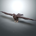 Modern Eagle 3d model