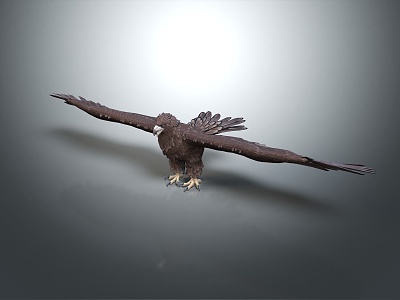 Modern Eagle 3d model