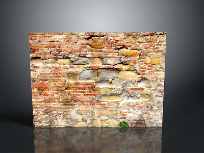 Architectural Brick Wall With Various Colored Bricks Weathered Texture And Small Green Plant 3d model