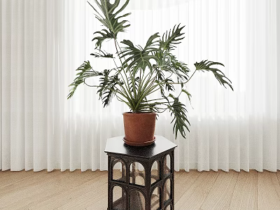 Tropical Potted Plant On Black Small Table With White Curtains And Wooden Floor 3d model