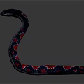 Two Colorful Snakes Orange Brown Blue Red Patterned Bodies Raised Heads on Gray Background