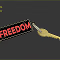 Metallic Key With Red FREEDOM Tag On Shiny Dark Surface 3d model
