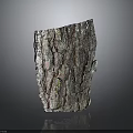 Authentic Plant Bark With Detailed Cracked Surface And Natural Multicolored Hues On Dark Background