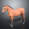 Detailed Low Poly Brown Horse 3D Model Standing on Gray Background