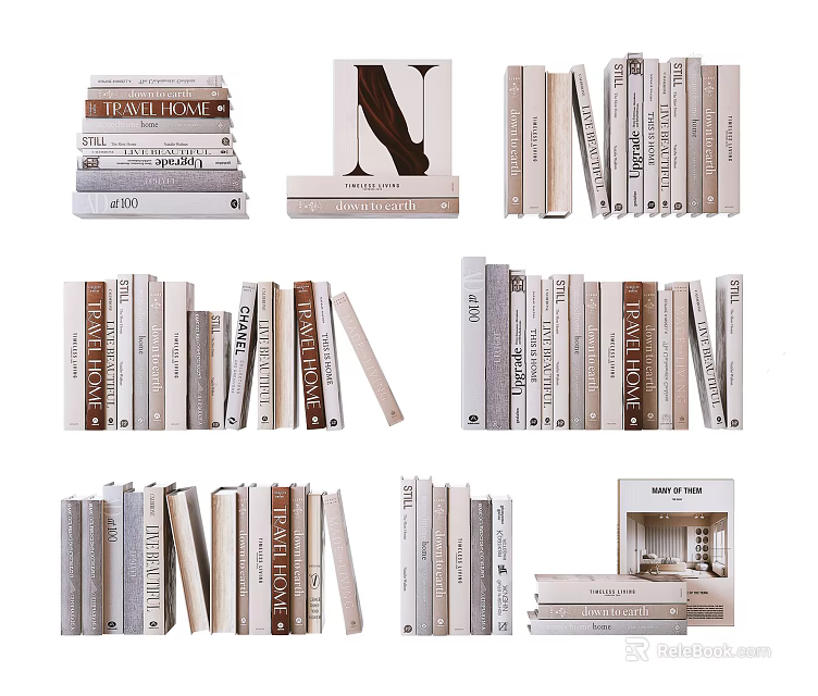 Stylish Book Collection Featuring Stacked And Upright Books In Neutral Tones 3d model 