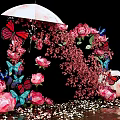 Beautiful Photo Spot With Pink Flowers Butterflies Umbrella Petals Against Black Background