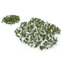 Natural Green Plant Clusters Arranged On White Background For Garden Decor