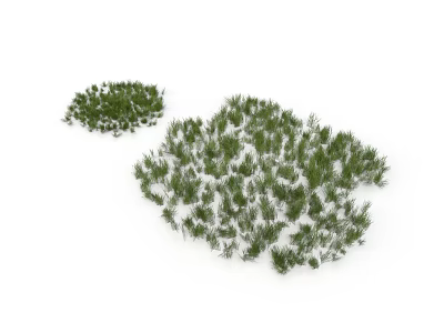 Natural Green Plant Clusters Arranged On White Background For Garden Decor 3d model