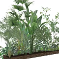 Lush Green Indoor Plants With Various Leaf Types In Wooden Planter Box