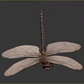 Modern Dragonfly Thin-winged Dragonfly Le Fairy Dragonfly Purple Red Dragonfly 3d model