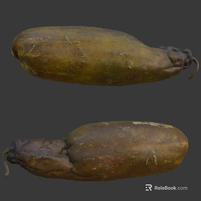 Yellowish Brown Irregular Shaped Vegetable with Textured Surface and Curved Ends 3d model 