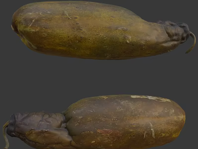 Yellowish Brown Irregular Shaped Vegetable with Textured Surface and Curved Ends 3d model