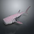 Giant Whale Shark With White Body And Pink Spots In Marine Environment