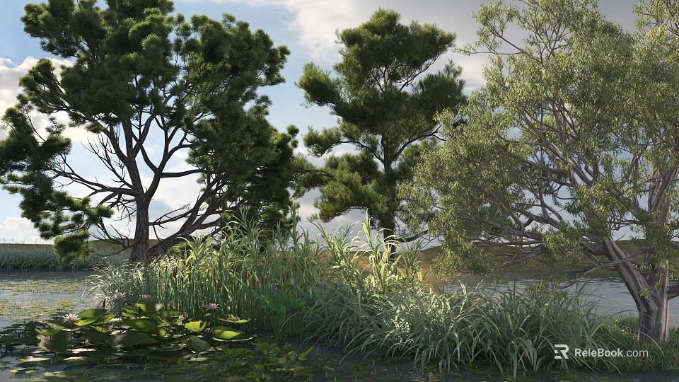 Tall Trees In Natural Riverside Landscape With Green Grass Aquatic Plants And Cloudy Sky 3d model 