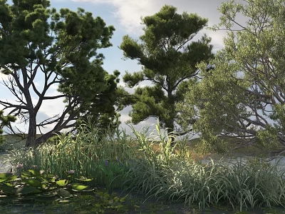 Tall Trees In Natural Riverside Landscape With Green Grass Aquatic Plants And Cloudy Sky 3d model