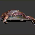 Colorful Reptile 3D Model With Red Body Yellow Spots And Textured Skin