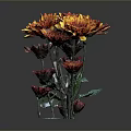 Bouquet of Orange and Red Chrysanthemums in Transparent Vase Against Dark Background