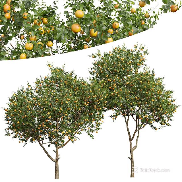 Lush Fruit Bearing Arbor With Abundant Yellow Fruits And Green Foliage 3d model 