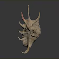 Organic Shell Structure With Hairy Surface And Spiny Projections On Dark Background