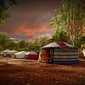 Various Styled Traditional Yurts Displayed Outdoors With Trees And Cactus