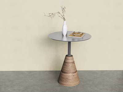 Contemporary Side Table With Round Metal Top Conical Woven Base And White Vase Dried Branches 3d model