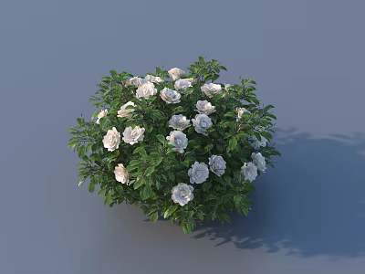 Lush Green Bush With White Flowers Blooming In Round Shape 3d model
