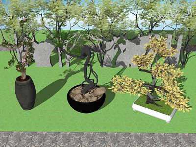 Bonsai Plants In Black And White Pots On Green Grass With Trees 3d model