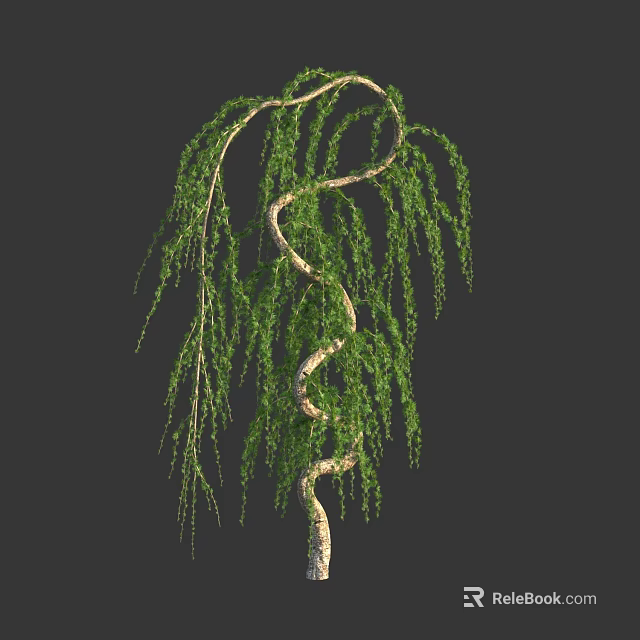 Lush Green Weeping Willow Tree With Curved Trunk And Hanging Branches 3d model 