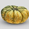 Fresh Round Pumpkin With Green And Yellow Striped Vibrant Texture