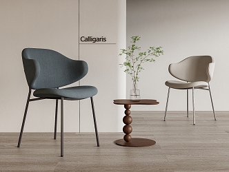 Calligaris Dining Chair Single Chair Leisure Chair 3d model