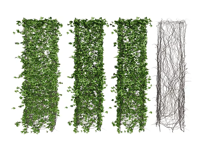 Lush Hanging Basket Plants with Dense Green Vines and Bare Vine Frames 3d model