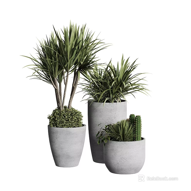 Various Potted Plants With Different Green Foliage In Gray Cement Pots For Indoor Decoration 3d model 