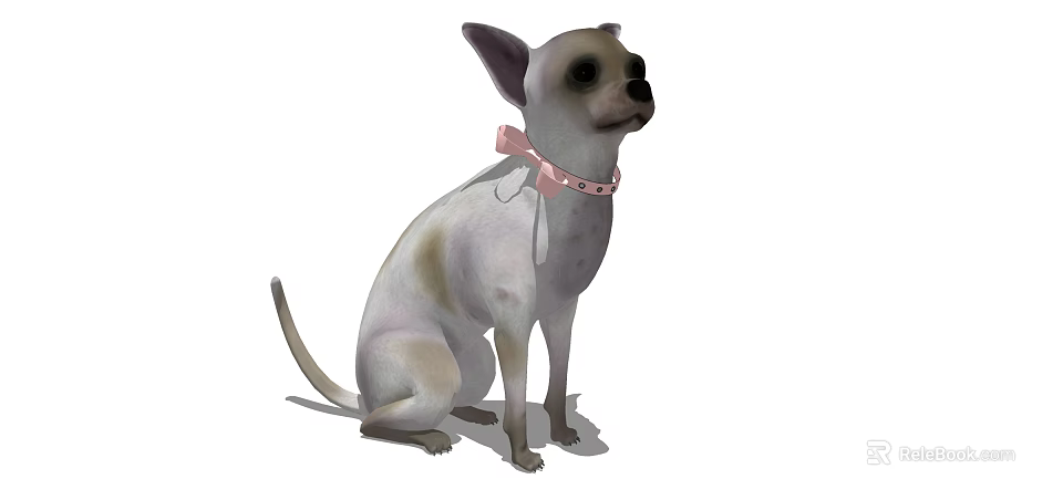 Cute Chihuahua Dog With Pink Bow Collar Sitting On White Background 3d model 