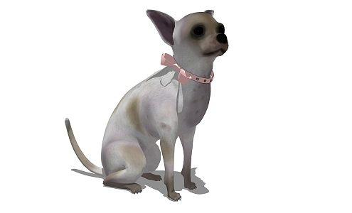 Modern Dog Animal Dog 3d model