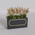 Plant Combination In Black Planter With Gold Accent Tall Reed Grasses And Green Foliage