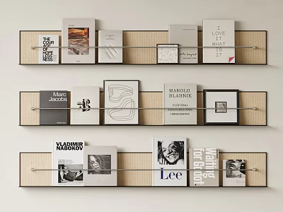 Books and Magazines Wall Display With Various Cover Designs and Artistic Layouts 3d model