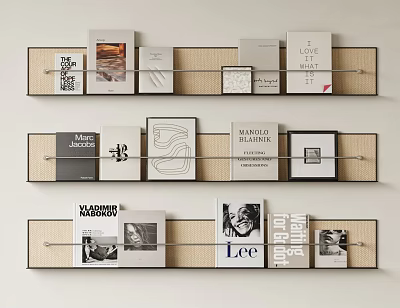 Books and Magazines Wall Display With Various Cover Designs and Artistic Layouts 3d model