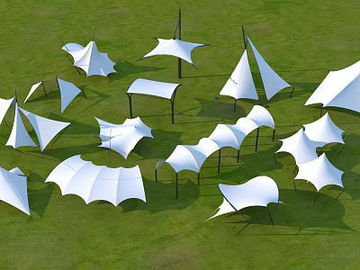 Outdoor White Tensile Membrane Structures with Various Shapes on Green Grassland 3d model