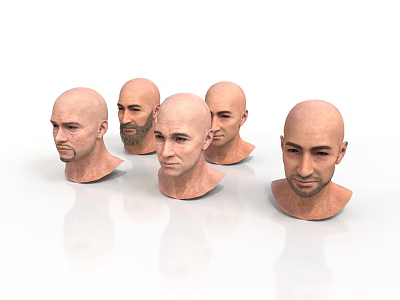 Male Bald Head 3D Models Displayed From Multiple Angles With Realistic Facial Features 3d model
