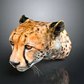 Detailed Cheetah Head with Distinctive Spots Alert Eyes and Natural Whiskers
