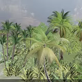 Tropical Coastal Garden Landscape With Lush Palm Trees Dense Foliage And Sea View