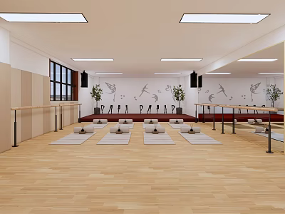 Bright Fitness Studio With Wooden Floor Yoga Mats Ballet Barres Wall Art And Plants 3d model