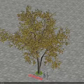 Yellow Leaf Tree with Brown Trunk Growing on Paved Ground with Shadow 3d model