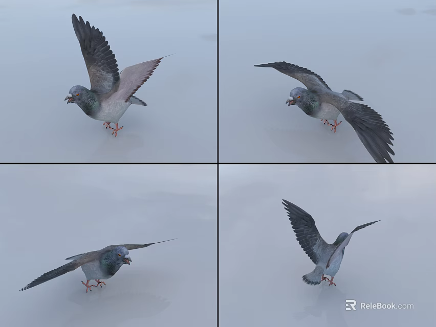 Flying Pigeon in Multiple Flight Poses on Light Colored Ground Surface 3d model 