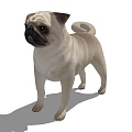 Modern Dog Animal Dog 3d model