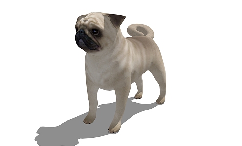 Modern Dog Animal Dog 3d model