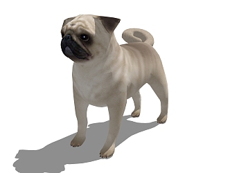 Modern Dog Animal Dog 3d model