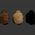 Stylish Woman's Wig Hairstyle Display With Brown Orange And Black Hair Colors
